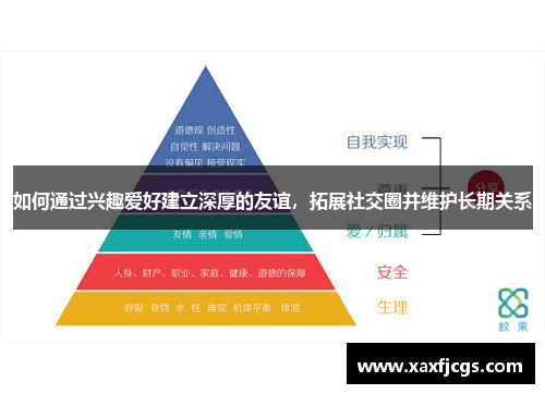 如何通过兴趣爱好建立深厚的友谊，拓展社交圈并维护长期关系